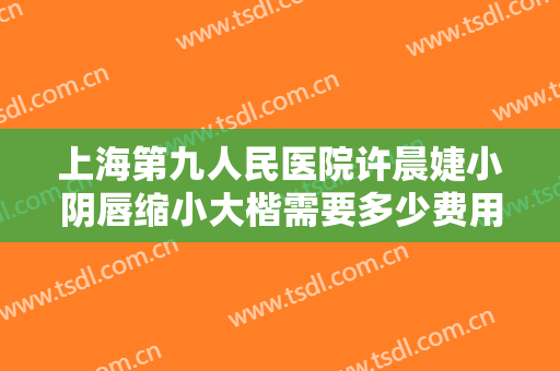 上海第九人民医院许晨婕小阴唇缩小大楷需要多少费用?靠谱吗?