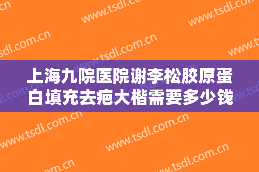 上海九院医院谢李松胶原蛋白填充去疤大楷需要多少钱?有哪些优势?