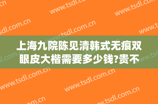 上海九院陈见清韩式无痕双眼皮大楷需要多少钱?贵不贵?(上海第九人民医院整容双眼皮)