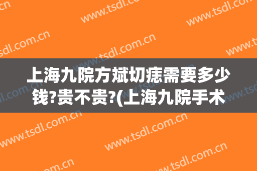 上海九院方斌切痣需要多少钱?贵不贵?(上海九院手术祛痣)