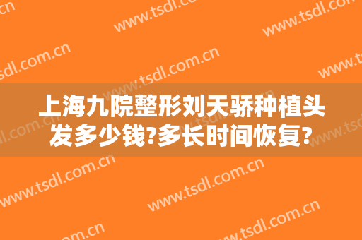 上海九院整形刘天骄种植头发多少钱?多长时间恢复?