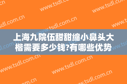 上海九院伍甜甜缩小鼻头大楷需要多少钱?有哪些优势?