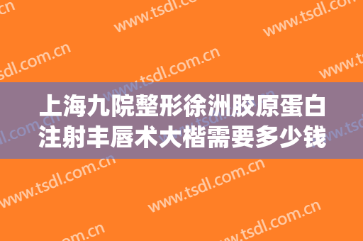 上海九院整形徐洲胶原蛋白注射丰唇术大楷需要多少钱?靠谱吗?(上海九院整形手术价格)