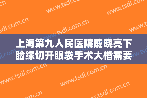 上海第九人民医院戚晓亮下睑缘切开眼袋手术大楷需要多少费用?贵不贵?