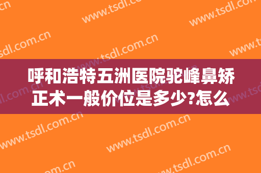 呼和浩特五洲医院驼峰鼻矫正术一般价位是多少?怎么样?(矫正驼峰鼻多少钱)