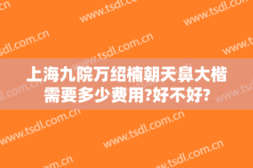 上海九院万绍楠朝天鼻大楷需要多少费用?好不好?