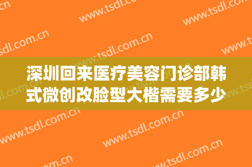 深圳回来医疗美容门诊部韩式微创改脸型大楷需要多少费用?靠谱吗?(深圳医美整形转让)