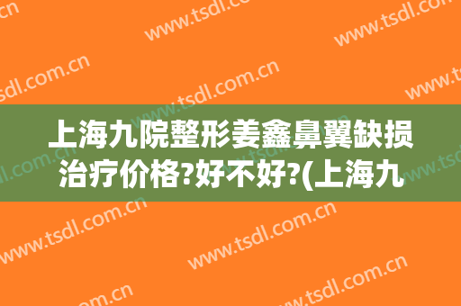 上海九院整形姜鑫鼻翼缺损治疗价格?好不好?(上海九院整形鼻子多少钱)