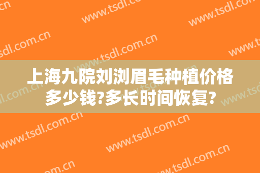 上海九院刘浏眉毛种植价格多少钱?多长时间恢复?