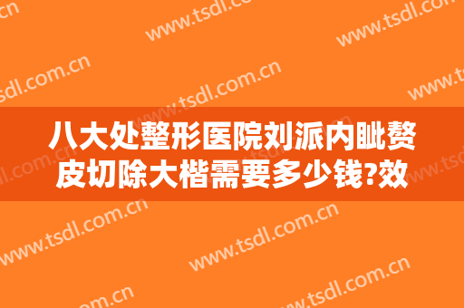 八大处整形医院刘派内眦赘皮切除大楷需要多少钱?效果怎么样?