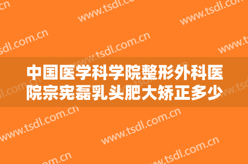 中国医学科学院整形外科医院宗宪磊乳头肥大矫正多少钱?贵不贵?