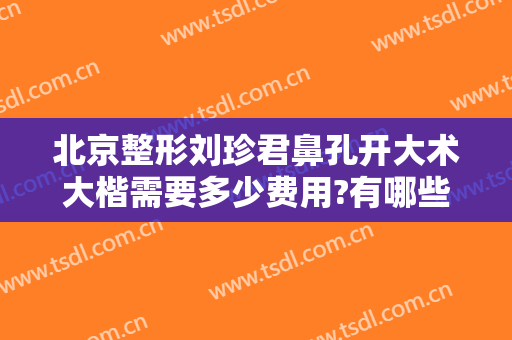 北京整形刘珍君鼻孔开大术大楷需要多少费用?有哪些优势?