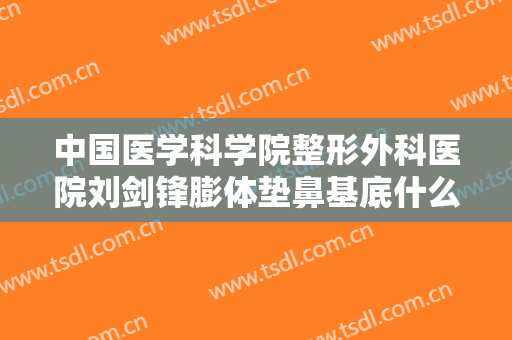 中国医学科学院整形外科医院刘剑锋膨体垫鼻基底什么价格?怎么样?