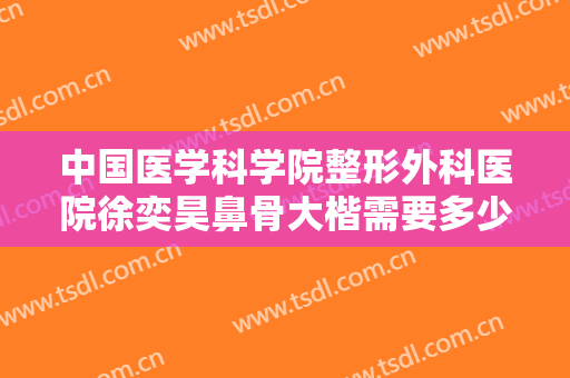 中国医学科学院整形外科医院徐奕昊鼻骨大楷需要多少钱?好不好?