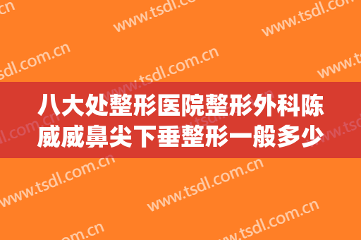 八大处整形医院整形外科陈威威鼻尖下垂整形一般多少钱?怎么样?(鼻子整形价位)