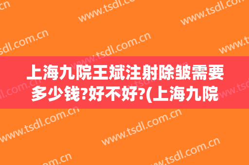 上海九院王斌注射除皱需要多少钱?好不好?(上海九院除皱价格)