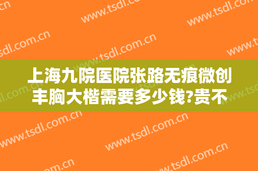 上海九院医院张路无痕微创丰胸大楷需要多少钱?贵不贵?