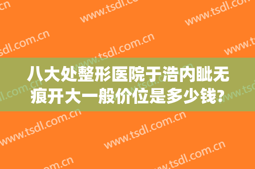 八大处整形医院于浩内眦无痕开大一般价位是多少钱?贵不贵?(大处整形医院吧)