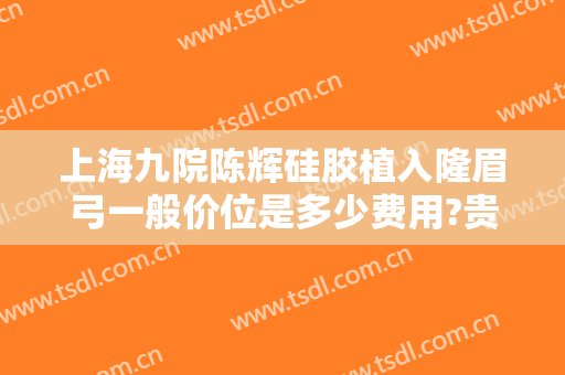 上海九院陈辉硅胶植入隆眉弓一般价位是多少费用?贵不贵?
