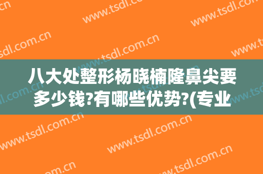 八大处整形杨晓楠隆鼻尖要多少钱?有哪些优势?(专业隆鼻整容)