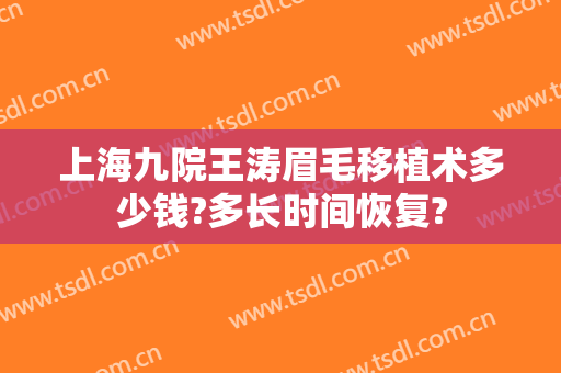 上海九院王涛眉毛移植术多少钱?多长时间恢复?