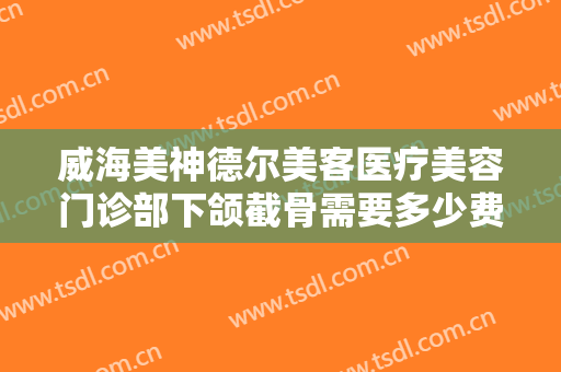威海美神德尔美客医疗美容门诊部下颌截骨需要多少费用?可靠吗?