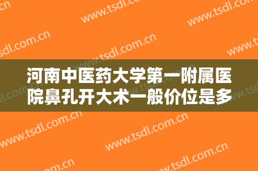 河南中医药大学第一附属医院鼻孔开大术一般价位是多少费用?效果怎么样?