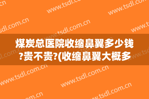 煤炭总医院收缩鼻翼多少钱?贵不贵?(收缩鼻翼大概多少钱)