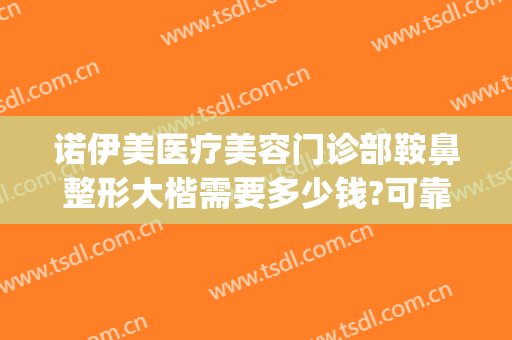 诺伊美医疗美容门诊部鞍鼻整形大楷需要多少钱?可靠吗?(诺美医疗美容整形医院怎么样?)