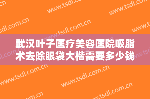 武汉叶子医疗美容医院吸脂术去除眼袋大楷需要多少钱?需要多久恢复?