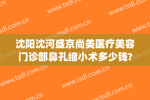 沈阳沈河盛京尚美医疗美容门诊部鼻孔缩小术多少钱?可靠吗?(沈阳盛京医院矫正牙齿多少钱)