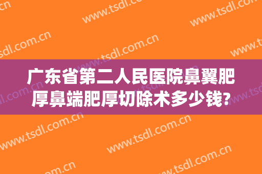 广东省第二人民医院鼻翼肥厚鼻端肥厚切除术多少钱?贵不贵?(外切鼻翼缩小多少钱)