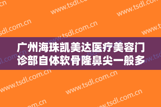广州海珠凯美达医疗美容门诊部自体软骨隆鼻尖一般多少费用?好不好?
