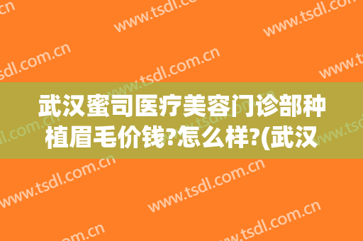 武汉蜜司医疗美容门诊部种植眉毛价钱?怎么样?(武汉蜜司整形医院)