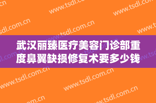 武汉丽臻医疗美容门诊部重度鼻翼缺损修复术要多少钱?怎么样?(上海医美整形修复医院)