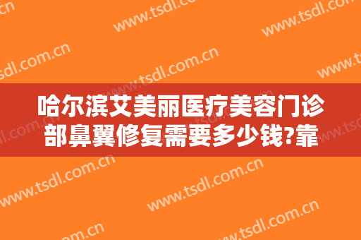 哈尔滨艾美丽医疗美容门诊部鼻翼修复需要多少钱?靠谱吗?