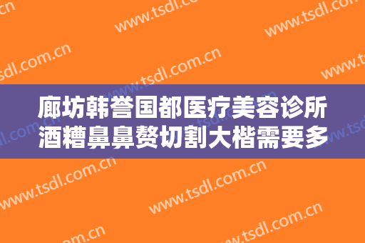 廊坊韩誉国都医疗美容诊所酒糟鼻鼻赘切割大楷需要多少钱?怎么样?