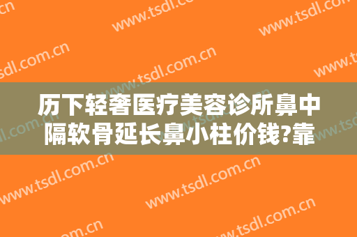 历下轻奢医疗美容诊所鼻中隔软骨延长鼻小柱价钱?靠谱吗?