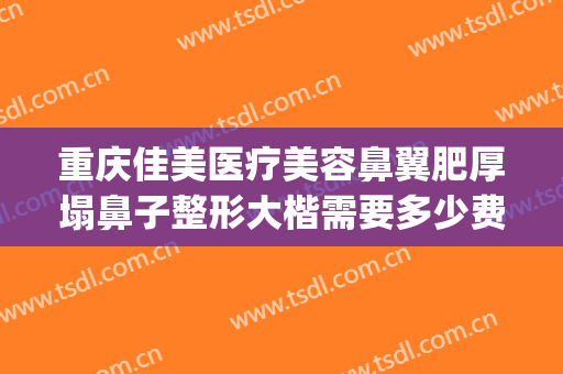 重庆佳美医疗美容鼻翼肥厚塌鼻子整形大楷需要多少费用?怎么样?(重庆鼻子整形好的医生)