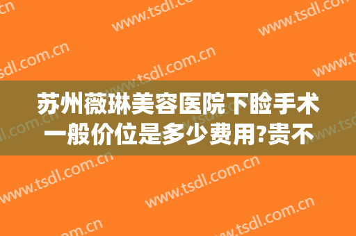 苏州薇琳美容医院下睑手术一般价位是多少费用?贵不贵?(苏州薇琳整形美容医院)