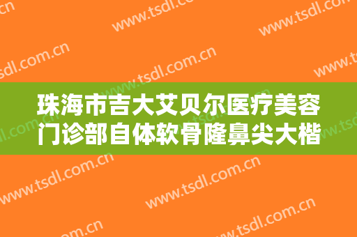 珠海市吉大艾贝尔医疗美容门诊部自体软骨隆鼻尖大楷需要多少费用?好不好?