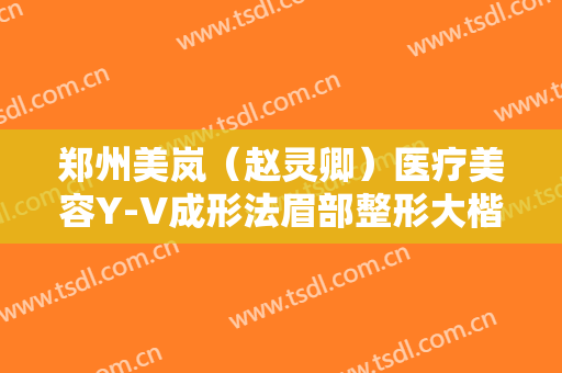 郑州美岚（赵灵卿）医疗美容Y-V成形法眉部整形大楷需要多少钱?好不好?