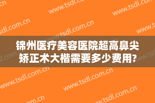 锦州医疗美容医院超高鼻尖矫正术大楷需要多少费用?好不好?
