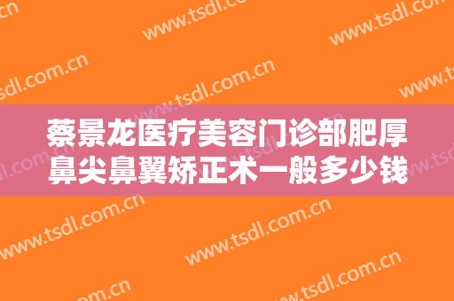 蔡景龙医疗美容门诊部肥厚鼻尖鼻翼矫正术一般多少钱?效果怎么样?