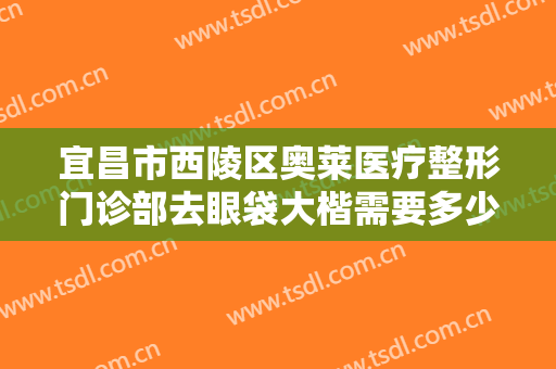 宜昌市西陵区奥莱医疗整形门诊部去眼袋大楷需要多少钱?怎么样?