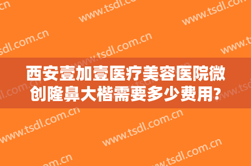 西安壹加壹医疗美容医院微创隆鼻大楷需要多少费用?可靠吗?