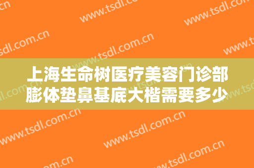 上海生命树医疗美容门诊部膨体垫鼻基底大楷需要多少费用?可靠吗?