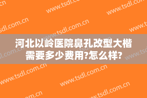 河北以岭医院鼻孔改型大楷需要多少费用?怎么样?