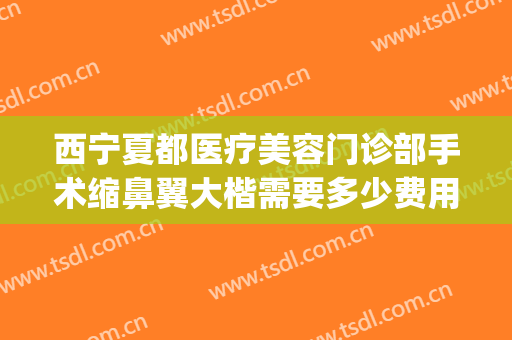 西宁夏都医疗美容门诊部手术缩鼻翼大楷需要多少费用?贵不贵?(西京医院缩鼻翼多少钱)