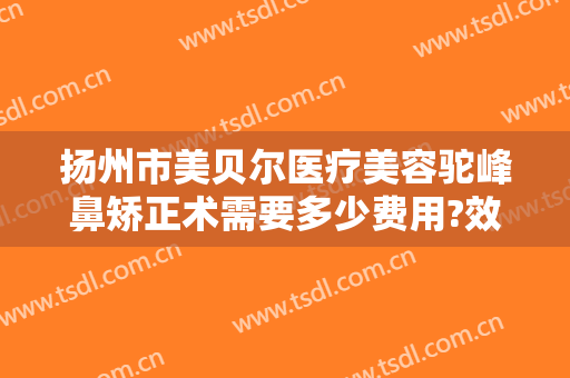 扬州市美贝尔医疗美容驼峰鼻矫正术需要多少费用?效果怎么样?